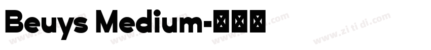 Beuys Medium字体转换